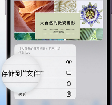 三河apple维修中心分享iPhone文件应用中存储和找到下载文件