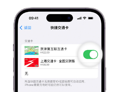 三河apple维修点分享iPhone上更换Apple Pay快捷交通卡手绘卡面 