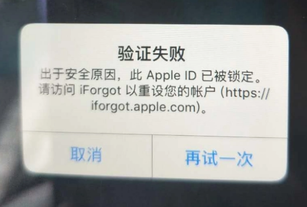 三河iPhone维修分享iPhone上正常登录或使用AppleID怎么办 