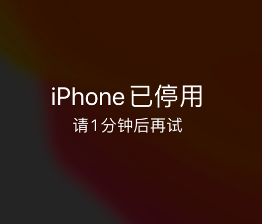 三河苹果手机维修分享:iPhone 显示“不可用”或“已停用”怎么办？还能保留数据吗？ 