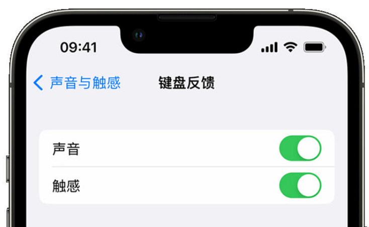 三河苹果手机维修分享iPhone 14触感键盘使用方法 