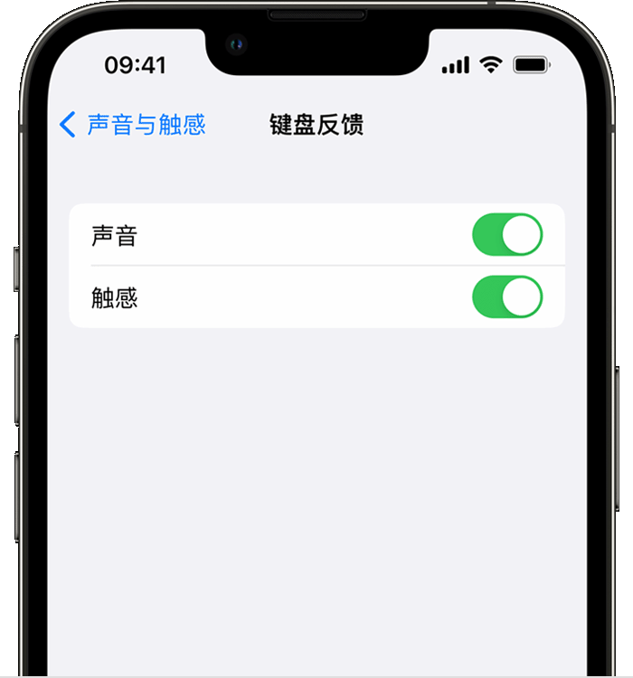 三河苹果14维修店分享如何在 iPhone 14 机型中使用触感键盘 