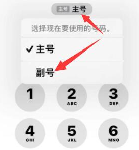 三河苹果14维修店分享iPhone 14 Pro Max使用副卡打电话的方法 