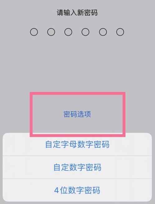 三河苹果14维修分享iPhone 14plus设置密码的方法 