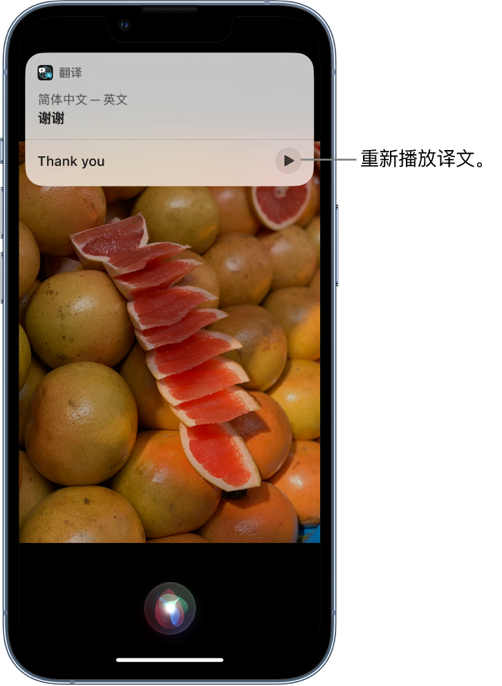 三河苹果14维修分享 iPhone 14 机型中使用 Siri：了解 Siri 能帮你做什么 