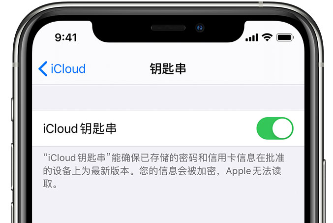 三河苹果手机维修分享在 iPhone 上开启 iCloud 钥匙串之后会储存哪些信息 