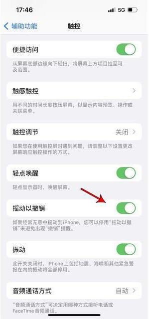 三河苹果手机维修分享iPhone手机如何设置摇一摇删除文字 