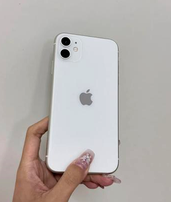 三河苹果维修点分享iPhone 11黑屏特殊场景解析 
